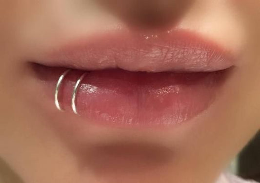 Double layer lip ring